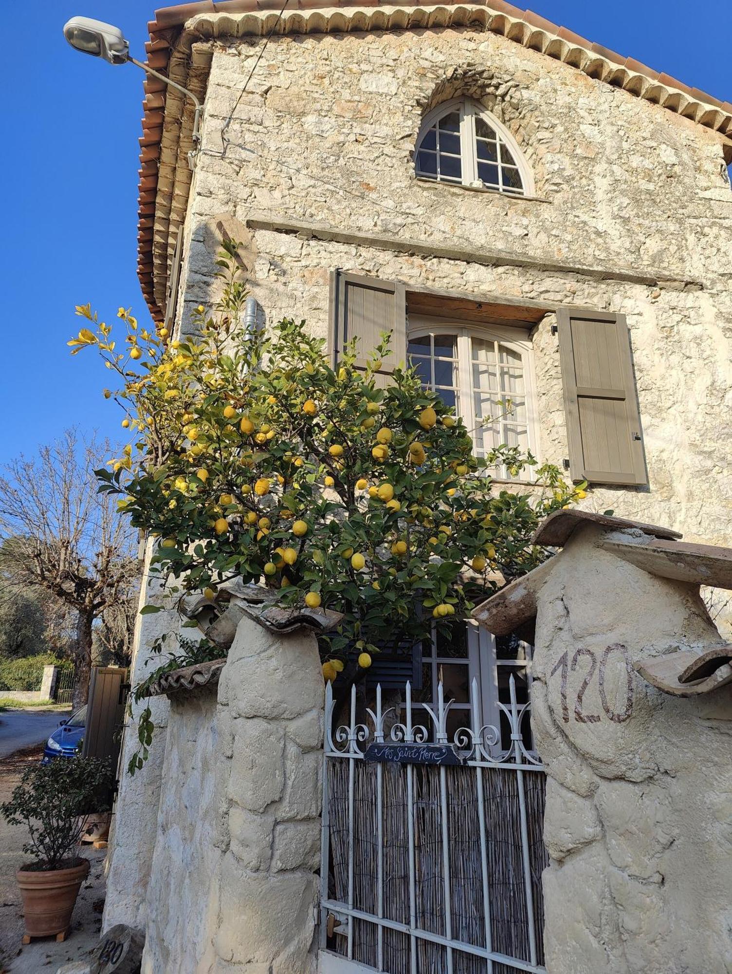 Le Mas Saint Pierre Roquefort Les Pins Eksteriør billede